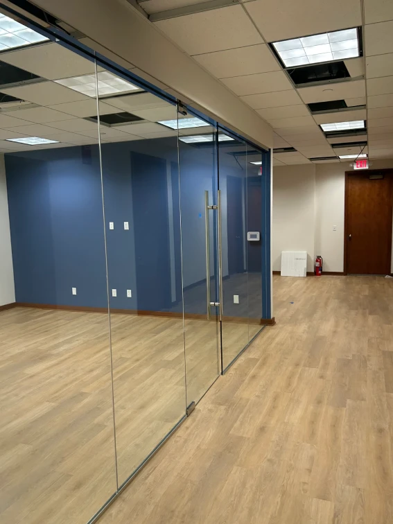 Frameless Glass Doors